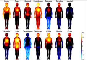 A team of biomedical engineers has mapped the bodily reactions to emotions in 700 individuals and found that patterns were the same, whether the candidate was from Western Europe or East Asia.