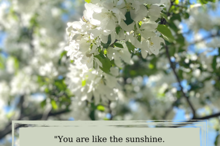 You Are Like the Sunshine
